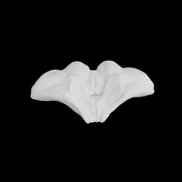 Cerebellum – Image 3