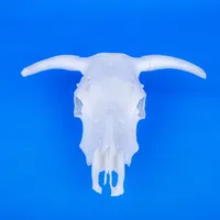 Cow Skull – Image 1