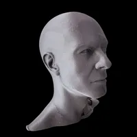 Fascial Muscles Man – Image 3