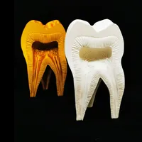 Molar Tooth – Image 3
