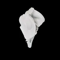 Brainstem with Cranial Nerves – Image 3