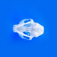 Cat Skull – Image 4