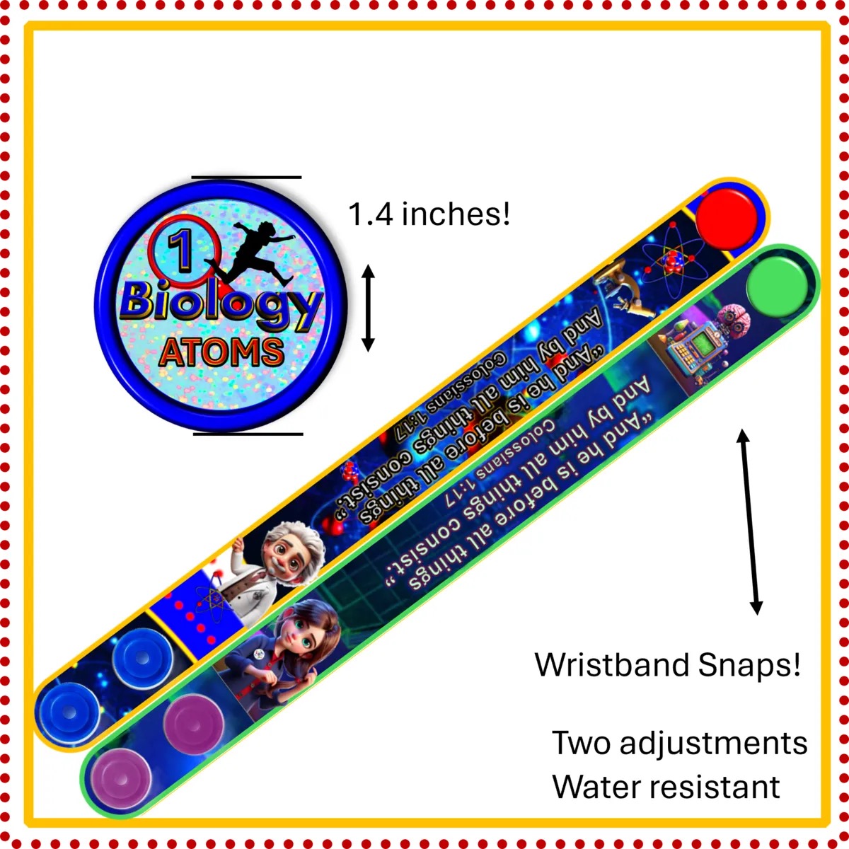 Bible Bundle™ Memorizing Kit Biology One God or Matter? – Image 6