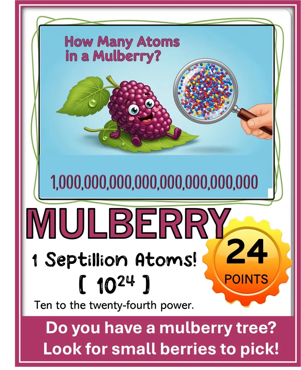 Atoms In My Backyard Scavenger Hunt Game! – Image 5