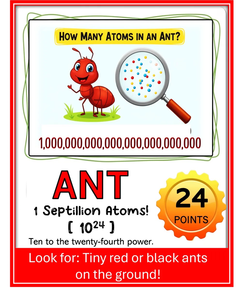 Atoms In My Backyard Scavenger Hunt Game! – Image 6
