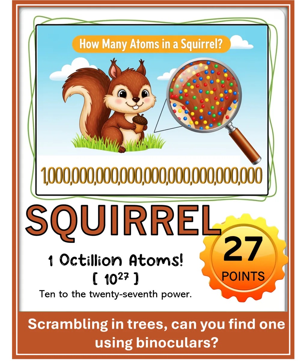 Atoms In My Backyard Scavenger Hunt Game! – Image 4