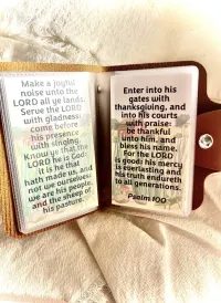 My Little Jolley Tales Book of Bible Promises — For BOYS & GIRLS – Image 8