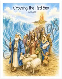 BIBLE STORY CARD VISUALS --BIBLE TRUTHS & STORIES -- PREMIUM FLASHCARDS, LAMINATED VISUALS, & HEIRLOOM WALL POSTERS – Image 6