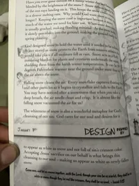 Inside Evidence, Pearls of Wisdom – Image 6