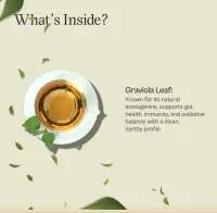 Graviola Loose Leaf Tea – Image 3
