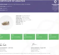 Detox Tea- Pure Graviola Blend – Image 6