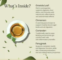 Detox Tea- Pure Graviola Blend – Image 3
