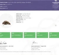 Focus Tea – Pure Graviola Blend – Image 6