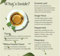 Focus Tea – Pure Graviola Blend – Image 3