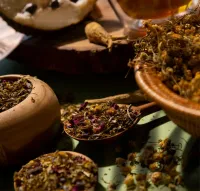 Sleep Tea – Pure Graviola Blend – Image 5