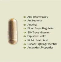 Soursop + Shilajit Supplement – Image 2