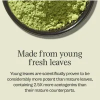 Soursop + Shilajit Supplement – Image 5