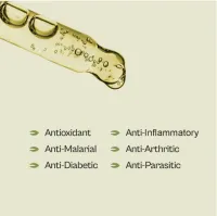 Soursop Leaf Tincture - 100% Young Leaf – Image 3