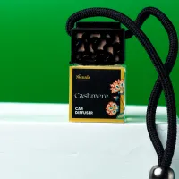 Black Top Car Diffuser – Hanging Car Air Freshener with Scent Variants – Cashmere