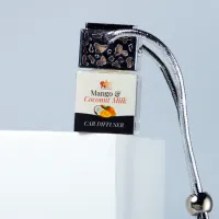 ABC Signature Scents Luxury Mango & Coconut Milk Car Diffuser – Silver