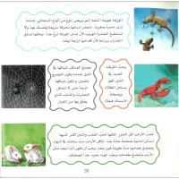 ماذا تأكل الحيوانات Ar& En  – Image 2