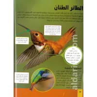 موسوعة الحيوانات – Image 2