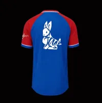 Shirts vs Skins Jersey - Royal Blue  – Image 2