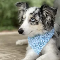 Watercolor Dots Blue Dog Bandana With Snaps – Image 2