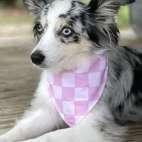 Pink Checkered Dog Bandana With Snaps – Image 1
