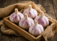 Seed Garlic – Image 1