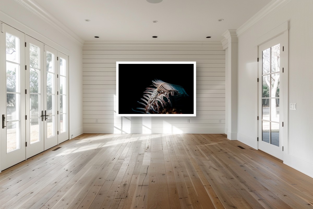 Beneath the Dark: the Crinoid's Embrace – Image 7