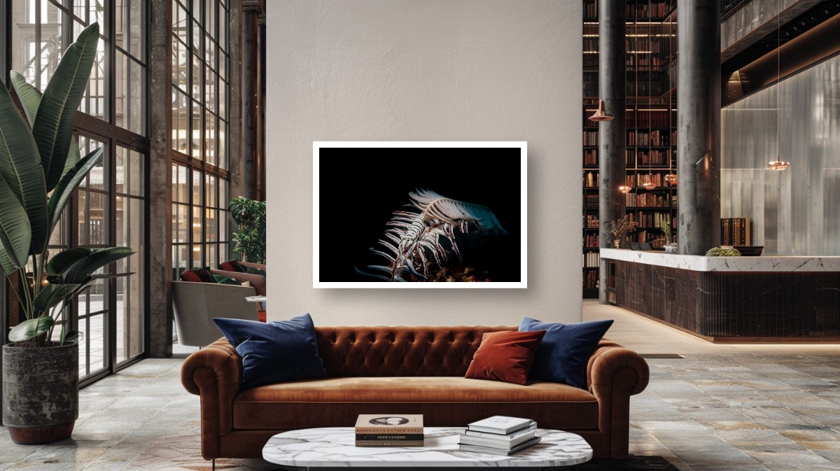 Beneath the Dark: the Crinoid's Embrace – Image 2