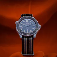 Omega Seamaster 300M "007 Edition" 210.92.42.20.01.001 – Image 12
