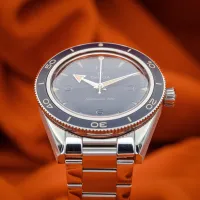 Omega Seamaster 300 Heritage 234.30.41.21.03.001 – Image 19