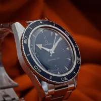 Omega Seamaster 300 Heritage 234.30.41.21.03.001 – Image 13