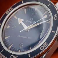 Omega Seamaster 300 Heritage 234.30.41.21.03.001 – Image 10