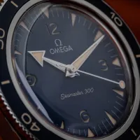 Omega Seamaster 300 Heritage 234.30.41.21.03.001 – Image 3