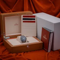 Omega Seamaster 300 Heritage 234.30.41.21.03.001 – Image 5