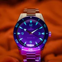 Omega Seamaster 300 Heritage 234.30.41.21.03.001 – Image 4