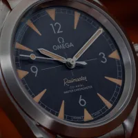Omega Seamaster Railmaster  – Image 24