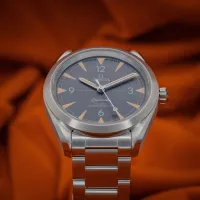Omega Seamaster Railmaster  – Image 23
