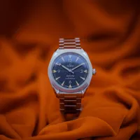 Omega Seamaster Railmaster  – Image 14