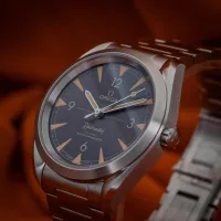 Omega Seamaster Railmaster  – Image 5