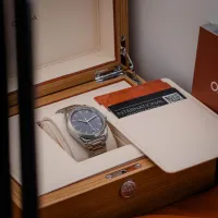 Omega Seamaster Railmaster  – Image 3
