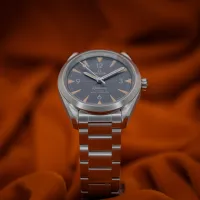 Omega Seamaster Railmaster  – Image 4