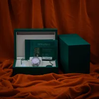 2025 Rolex Oyster Perpetual 36MM Pink Dial  – Image 8