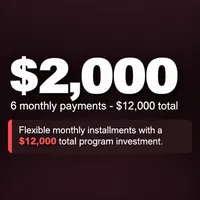 $2,000 6 monthly payments · $12,000 total – Image 1