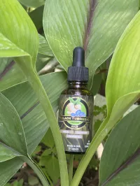 Black Turmeric Tincture – Image 1