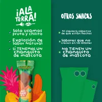 Tiras 100% Fruta de ¡Ala Terra! 18 piezas – Imagen 2