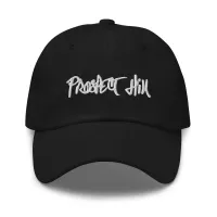 Prospect Hill Dad hat – Image 1